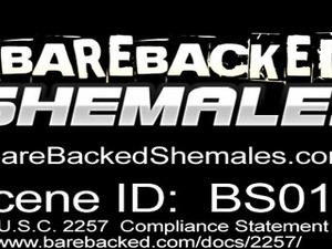 Shemale Have A Nice Bareback With Handsome